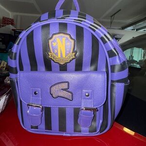 Purple and Black Striped Backpack